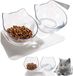 OEM ZenithVibe Dubbele Kattenvoerbak met 15° Hellingshoek en Transparant Ontwerp