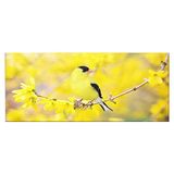 Homemania Wandafbeelding, motief: vogels, voor woonkamer, slaapkamer, meerkleurig, 70 x 3 x 100 cm, HM20KNV70 x 100 – 194, polyester, hout