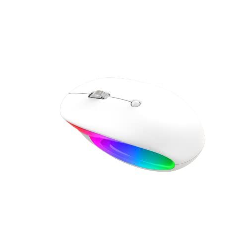 N.B. Draadloze muis 2,4 G/Bluetooth, compatibel met computer/laptop/iPad/tablet/laptop/USB-muis, RGB-muis voor computer-gaming-muis, oplaadbaar, BT muis met metalen roller (wit, 2,4 G)