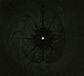 Season Of Mist Infestus The Reflecting Void