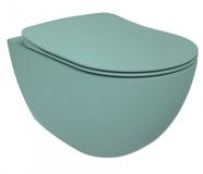 Boss & Wessing Nijl Wandcloset BWS Rimoff Ophang Toilet Zonder Bidet Groen