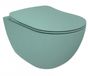 Boss & Wessing Nijl Wandcloset BWS Rimoff Ophang Toilet Zonder Bidet Groen