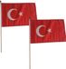 Promex Gmbh Luxe zwaaivlag Turkije - 2x stuks - 30 x 45 cm - polyester - houten stok - sterke kwaliteit
