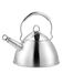 GSW Mirage fluitketel, 20 x 11 cm, 2,5 l, roestvrij staal, zilver