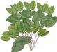 Bellatio flowers & plants Appelboom groene takken - 5x stuks - kunstplant - 77 cm
