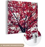 MuchoWow® Glasschilderij 90x90 cm - Acrylglas Schilderij - Esdoorn - Bladeren - Herfst - Natuur - Multicolor - Vierkant