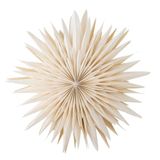 Bloomingville Elijas papieren kerstster met verlichting (wit)