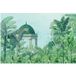 Papier peint panoramique Jardin Oiseaux