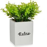 IBERGARDEN Decoratieve plant Wit Cement Plastic (8 x 18 x 8 cm)