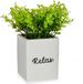 IBERGARDEN Decoratieve plant Wit Cement Plastic (8 x 18 x 8 cm)