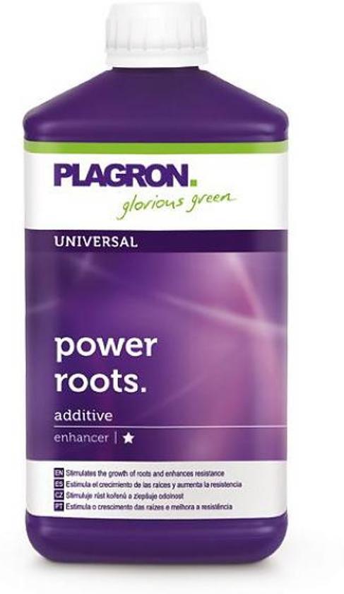 Plagron Power Roots 1 ltr