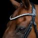 Imperial Riding IRH Maxima Hoofdband van leer met glazen strass-steentjes en stiftsluiting, grafiet, pony