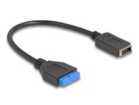 DeLOCK 65100 interne USB-kabel - 0,25 m - USB 3.2 Gen 1 (3.1 Gen 1)