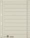 Leitz Staffeltabblad Karton - Beschrijfbare Tabs, 2/4-rings - Voor Ordners en Ringbanden - Grijs