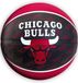 Spalding Chicago Bulls Basketbal junior maat 5 rood zwart