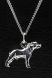 MOOYE ® - Collectie Zilveren Staffordshire bull terrier oren gecoupeerd ketting hanger - groot