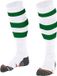 Stanno Original Voetbalsokken - Maat 45-48 - Wit/Groen