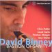 Bastion David Binney - Bastion Of Sanity