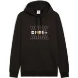 Puma Hoodie Essential Logo Holiday Lab FL