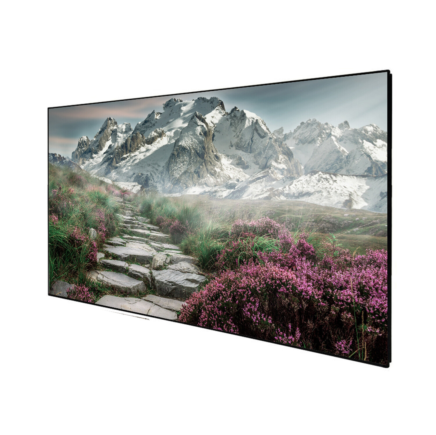 Celexon DELUXX Cinema frame scherm SlimFrame 298 x 168cm, 135" - SOUNDVISION