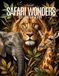Safari Wonders: An Easy Coloring Book