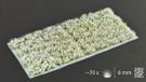 Gamers Grass Fleurs blanches
