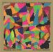 PIAS Nederland Wadada Leo Smith & Anthony Braxton - Saturn, Conjunct The Grand Canyon In A Sweet Embrace (CD)