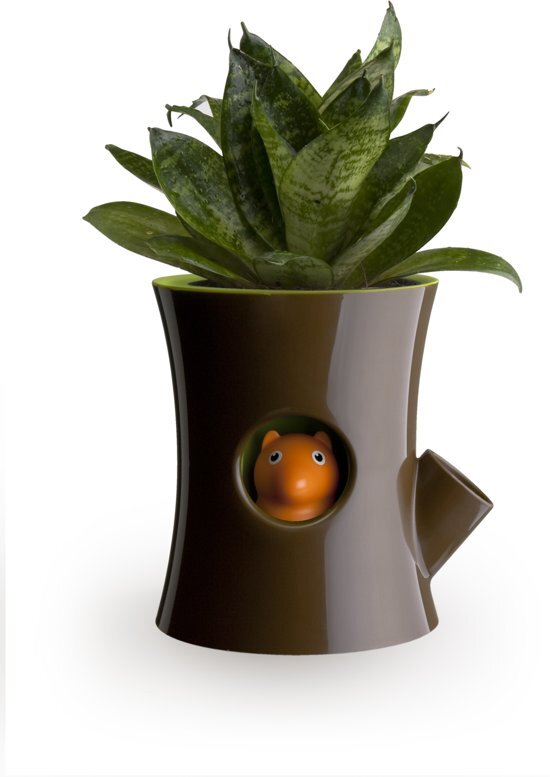 Qualy Log & Squirrel - Self watering plant pot