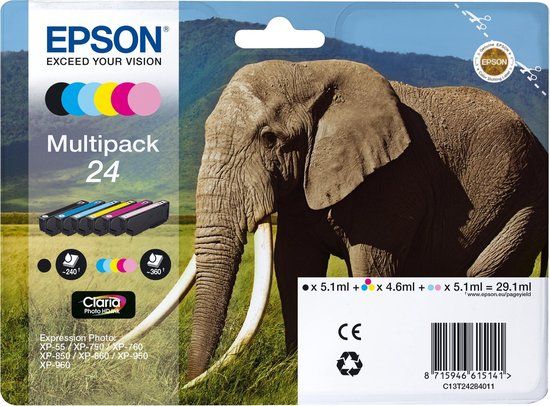 Epson 24 - Ink Cartridge Multipack - C13T24284011
