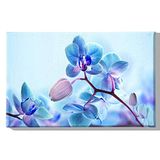 Homemania Muurfoto, bloemen, natuur, voor woonkamer, slaapkamer, meerkleurig, 45 x 3 x 70 cm, HM20KNV45 x 70 – 145, polyester, hout