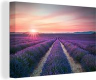 OneMillionCanvasses Canvas Schilderij Lavendel - Paars - 140x90 cm