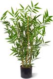 maxifleur Kunstplanten Japanse Bamboe kunstplant 60cm - UV bestendig