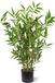 maxifleur Kunstplanten Japanse Bamboe kunstplant 60cm - UV bestendig