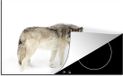 Merkloos KitchenYeah® Inductie beschermer 77x51 cm - Wolf - Sneeuw - Winter - Inductie beschermer voor kookplaat - Merkloos