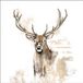 Ambiente Serviette 33cm Antlers FSC Mix