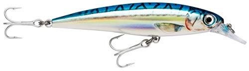 Rapala X-Rap Saltwater - 12cm - Blue Mackerel