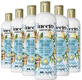 Inecto Naturals Brilliant Shine Argan Conditioner - 6 x 500 ml - Voordeelverpakking