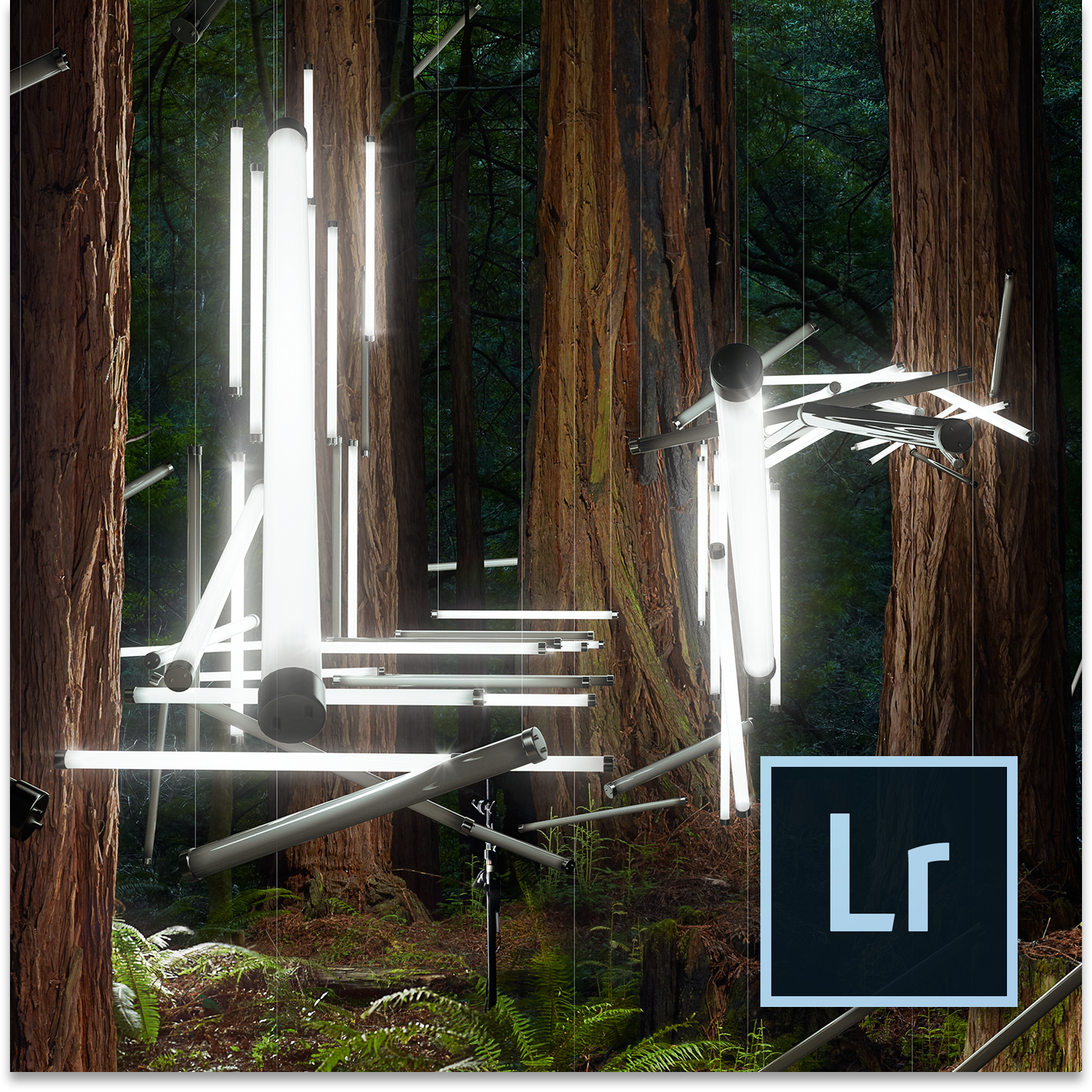 Adobe Lightroom 6