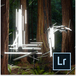 Adobe Photoshop Lightroom 6 - 1 License - Win/Mac - Digital Download