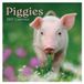 Comello Piggies kalender 2027