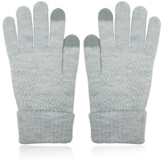LGT JWLS Dames Touchscreen Handschoenen in Grijs