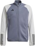 adidas teamwear Adidas Sweater Kinderen Tiro 23 Competition Training Grijs - Maat 116cm