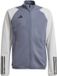 adidas teamwear Adidas Sweater Kinderen Tiro 23 Competition Training Grijs - Maat 116cm