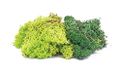 Hornby 00 Gauge Korstmos Landschap, Groen Mix