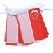 AZ FLAG Slinger Singapore 6 m 20 vlaggen Licht Polyester 21x15 cm