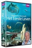 Megamoviestore Eerste Leven