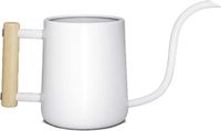 Merkloos / Sans marque Witte vintage gieter - Roestvrijstalen gieter met houten handgreep - 1 liter
