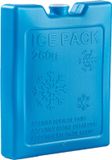 Plasticforte 260 grams koelelementen - 13 x 10 x 2 cm - blauw - kunststof - met sneeuwvlokken print