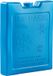 Plasticforte 260 grams koelelementen - 13 x 10 x 2 cm - blauw - kunststof - met sneeuwvlokken print