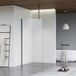 FortiFura Galeria inloopdouche - 80x200cm - mat glas - plafondarm - PVD - geborsteld gunmetal (antraciet)